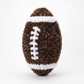 Touchdown Football Parade Float Kit